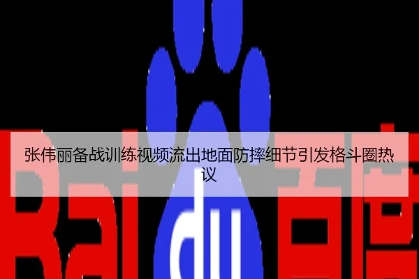 张伟丽备战训练视频流出地面防摔细节引发格斗圈热议
