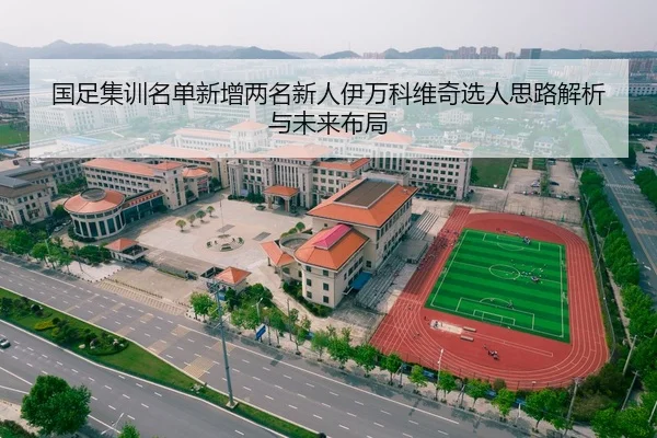 国足集训名单新增两名新人伊万科维奇选人思路解析与未来布局
